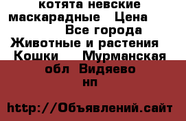 котята невские маскарадные › Цена ­ 18 000 - Все города Животные и растения » Кошки   . Мурманская обл.,Видяево нп